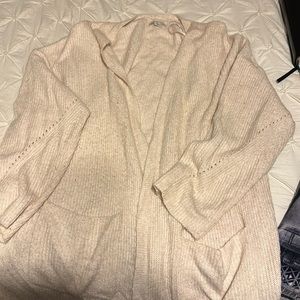 American Eagle Cardigan
